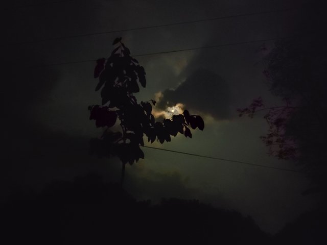 IMG_20250411_195545.jpg