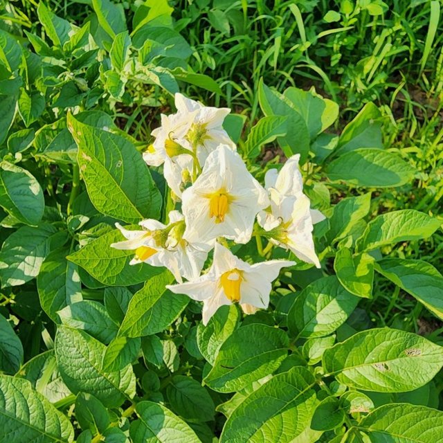 KakaoTalk_20250526_195940570_01.jpg