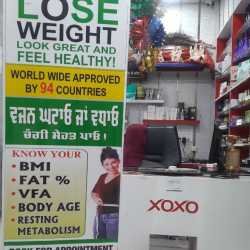 xoxo-nutrition-club-basant-avenue-amritsar-weight-loss-product-distributors-herbalife-d7ht2t66pn-250.jpg
