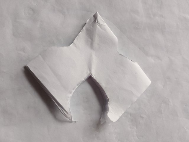 1000024643.jpg