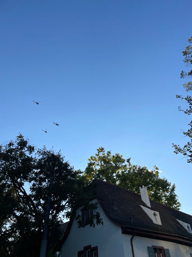 IMG_7867.jpeg