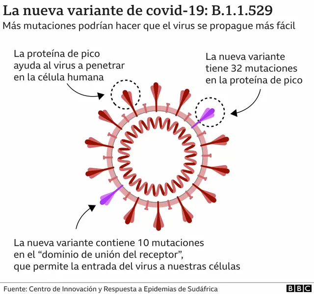 _121991208__121830446_corona_variant_b11529_v2_mundo_2x640-nc-2x-nc.png.webp