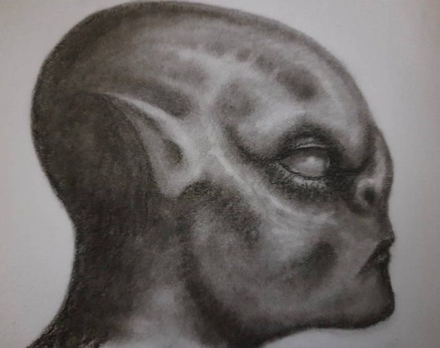 20250817_100123.jpg