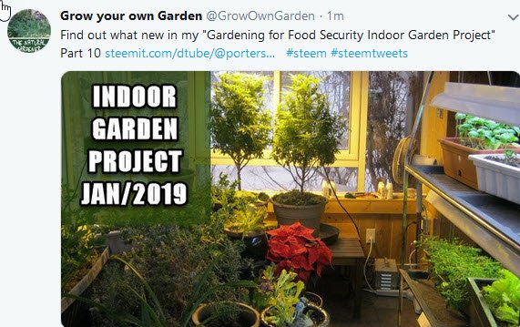 Steemit indoor garden post tweet on twitter.jpg