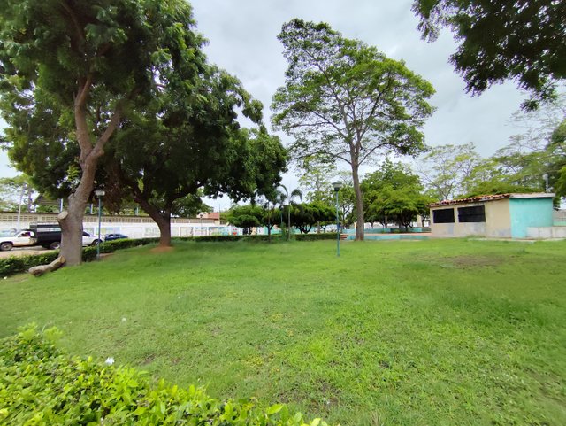 IMG_20250614_105545.jpg