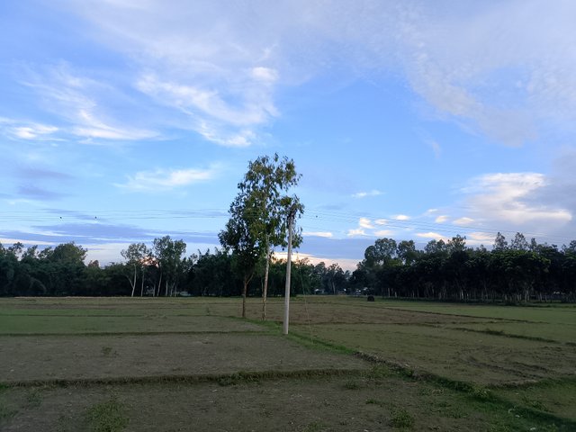 1000043265.jpg