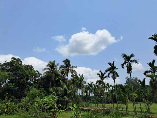 20250426_124950.jpg