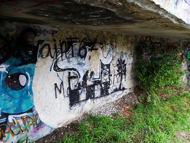 DSC07412.JPG