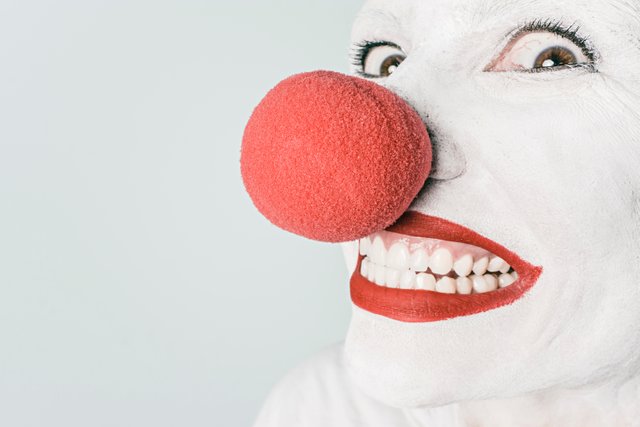 artist-circus-clown-476.jpg