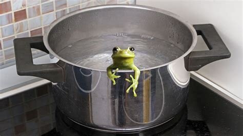 froggy.jpg