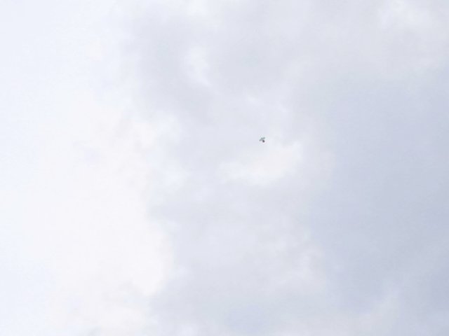 IMG20250714162251.jpg