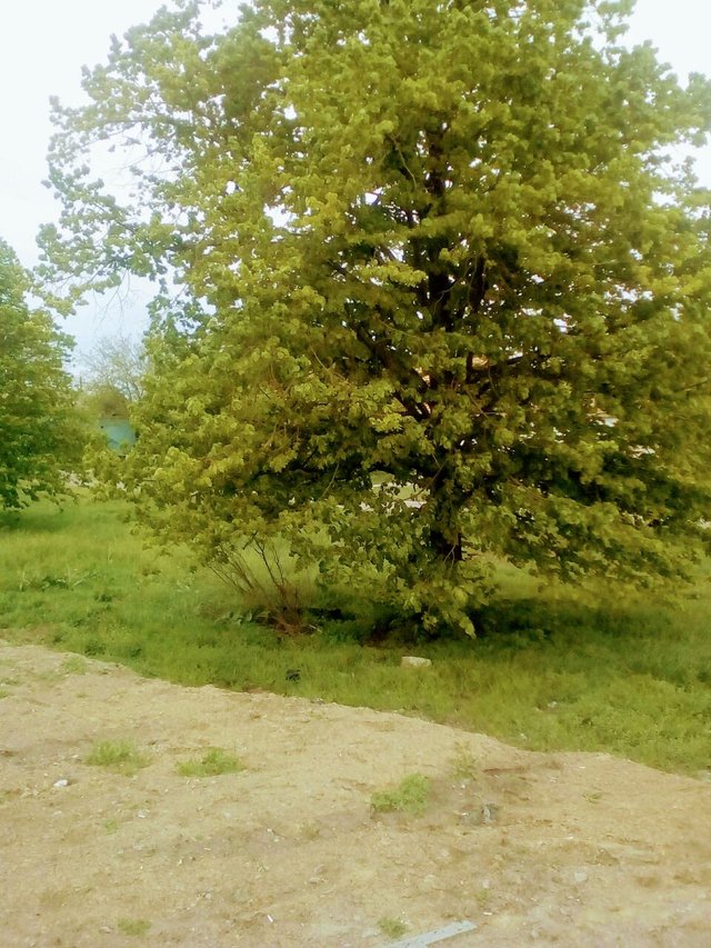 IMG-55b8af7694e70164e613bf04b92c90ef-V.jpg