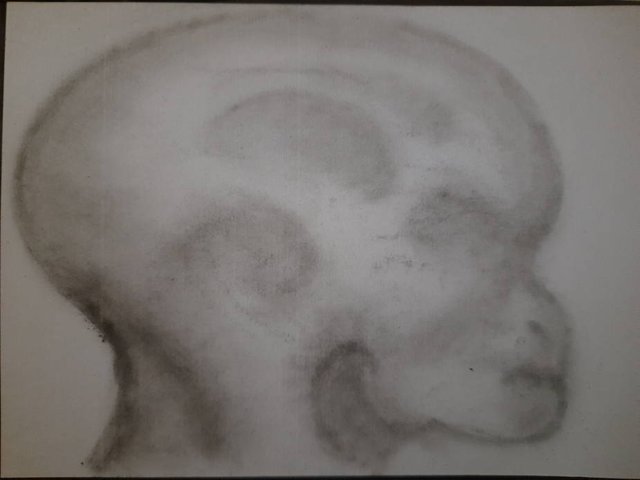 20250630_111241.jpg