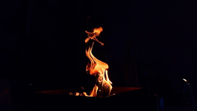 IMG-20250415-WA0005.jpg