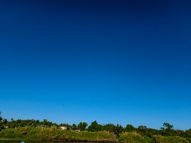 IMG_20250328_081646.jpg