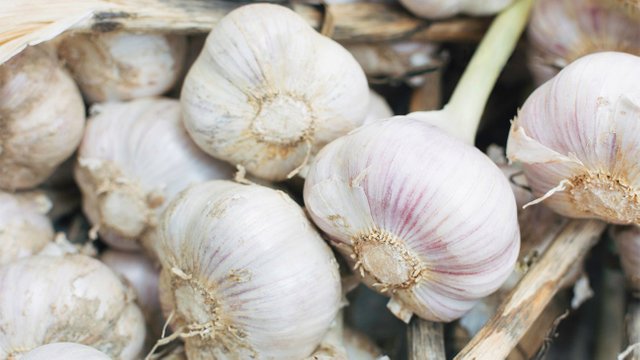 garlic-1296x728-header.jpg