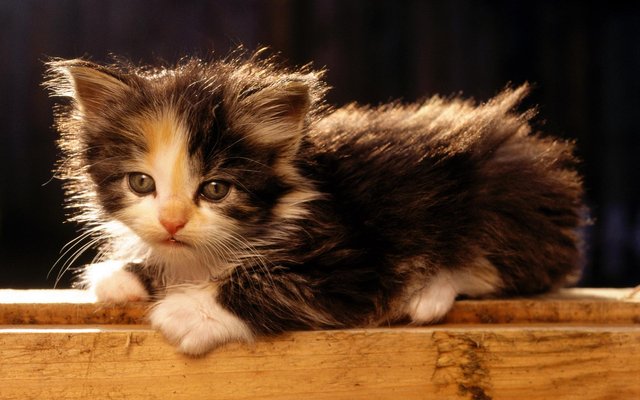 src=http___www_33lc_com_article_UploadPic_2012-10_2012101516264093032_jpg&refer=http___www_33lc.jpg