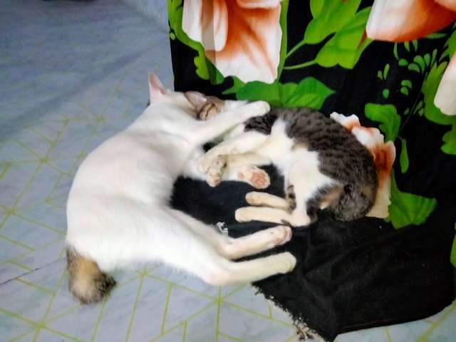 IMG20250818215925.jpg