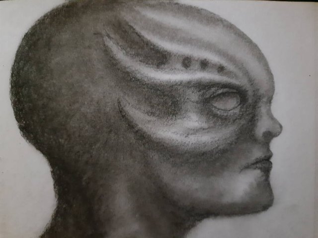 20250524_113730.jpg