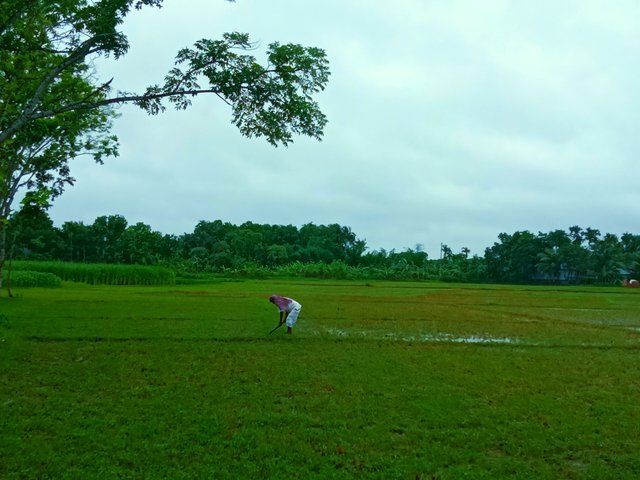 IMG_20250617_182303.jpg