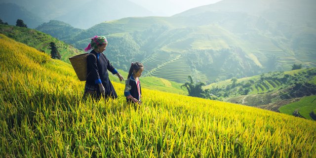 agriculture-malaysia.jpg