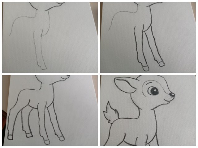 Collage_20250917_170523.jpg