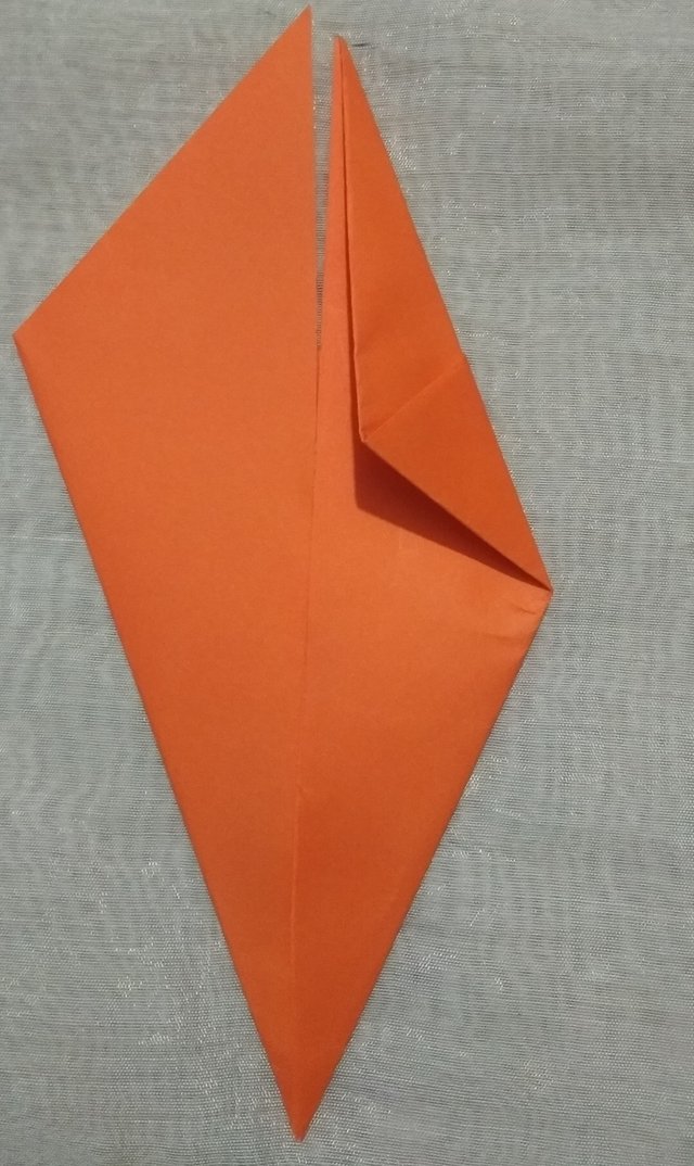 o13.jpg