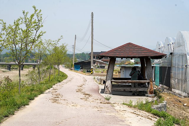 b-DSC01130.JPG