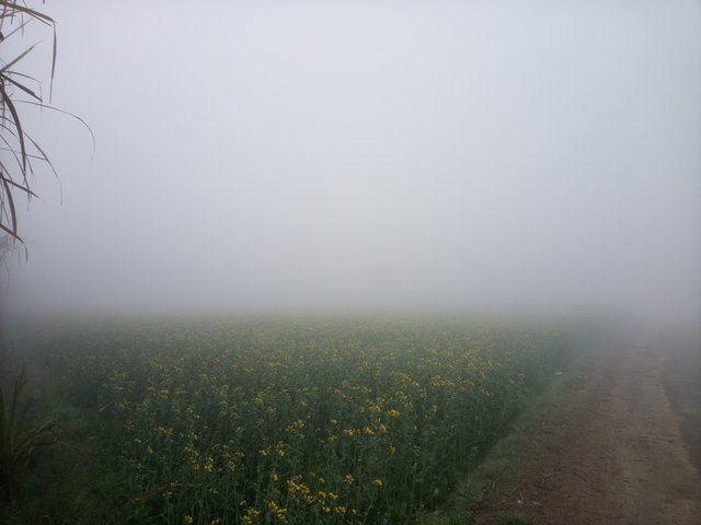 20220206_081807.jpg