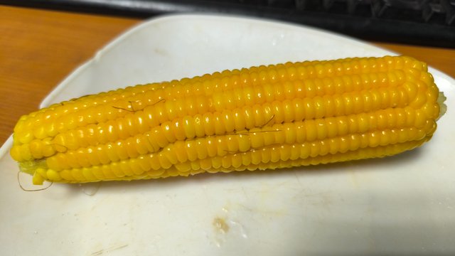 1000130443.jpg