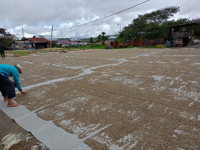 IMG20250406115418.jpg