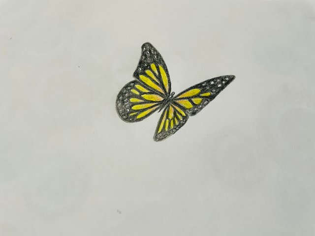 IMG_1822.jpeg