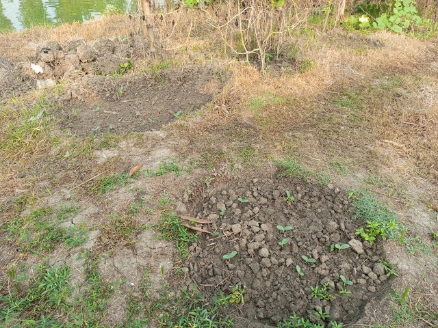 IMG_20231108_081603_845.jpg