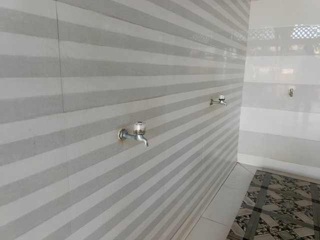 1000087650.jpg