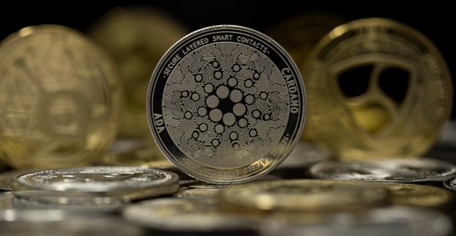 Cardano-physical-coin-placed-among-other-altcoins.jpg