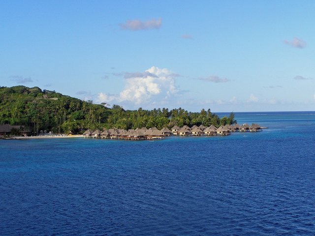 1000254964.jpg