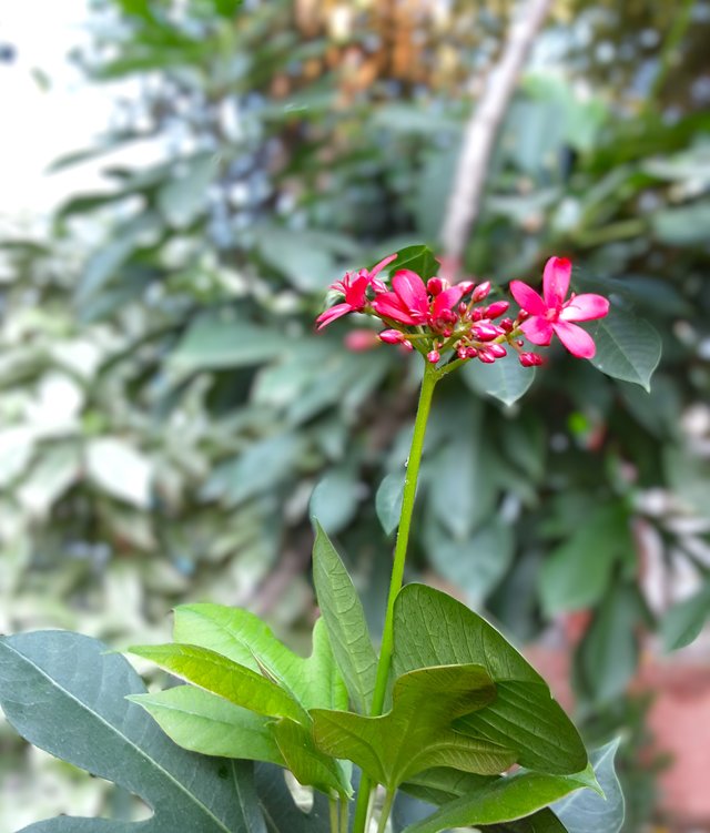 20241005_070650.jpg
