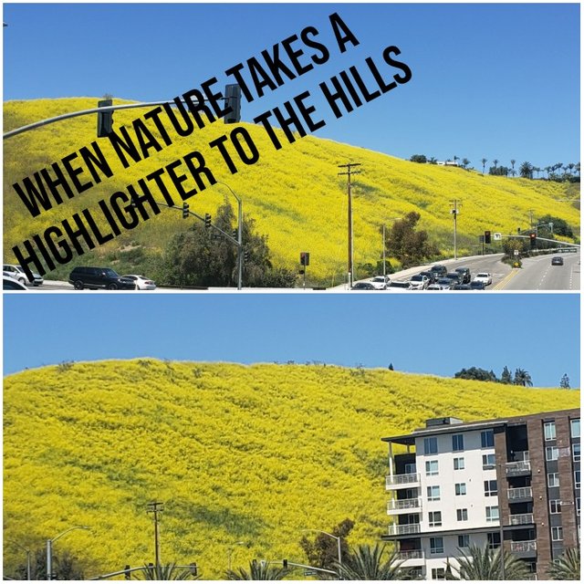 Highlighter Hills.jpg
