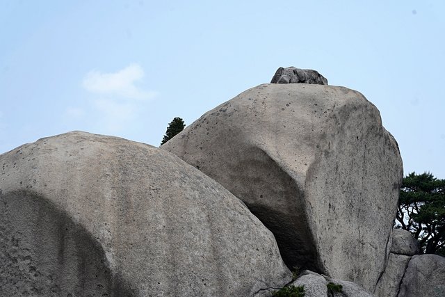 b-DSC02477.JPG