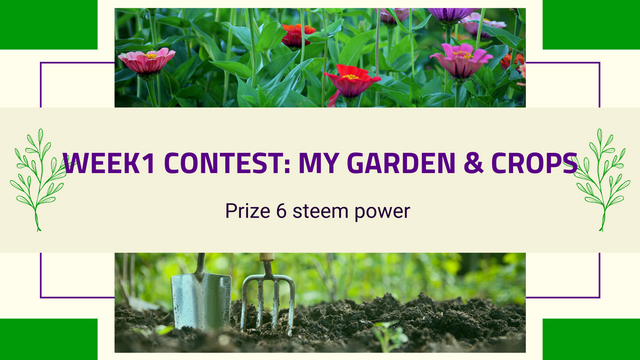 Contest my garden & ceops.png