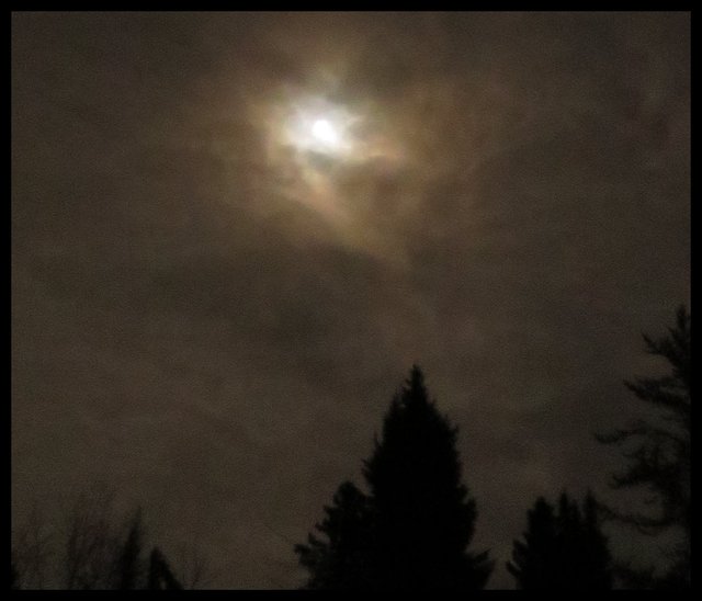 flash puts on orange color full moon with clouds above spruce trees.JPG