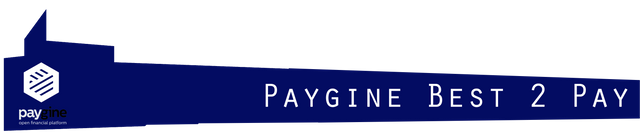 paygine Best 2 pay.png