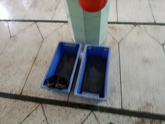 1000005558.jpg
