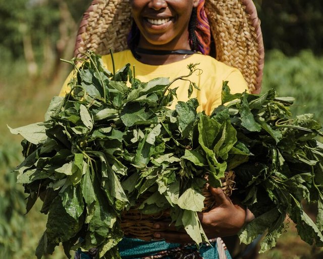 countryside-woman-holding-plant-leaves_23-2148761767.jpg