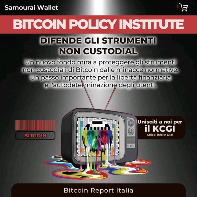 21_05 Bitcoin Samourai Wallet Custodial Libertà .jpeg