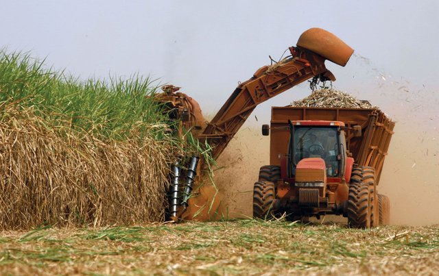 cutting-machine-plantation-harvesting-sugarcane-ethanol-biofuel.jpg