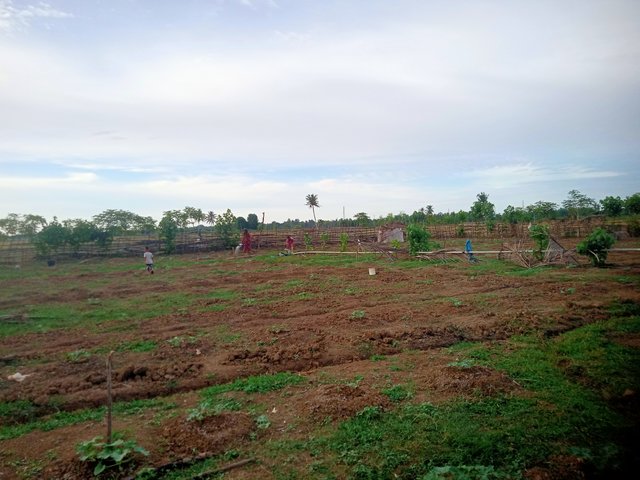 IMG20250824174545.jpg