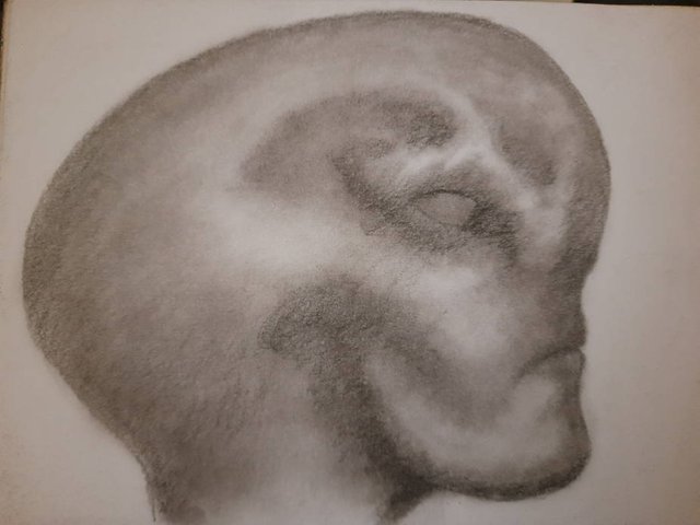 20250813_104250.jpg