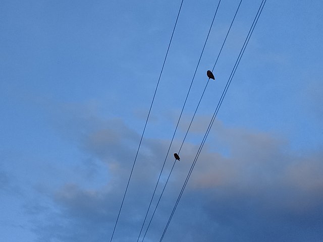 1000043458.jpg