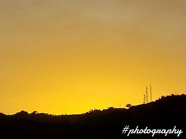 FotoGrid_20250806_190731459.jpg